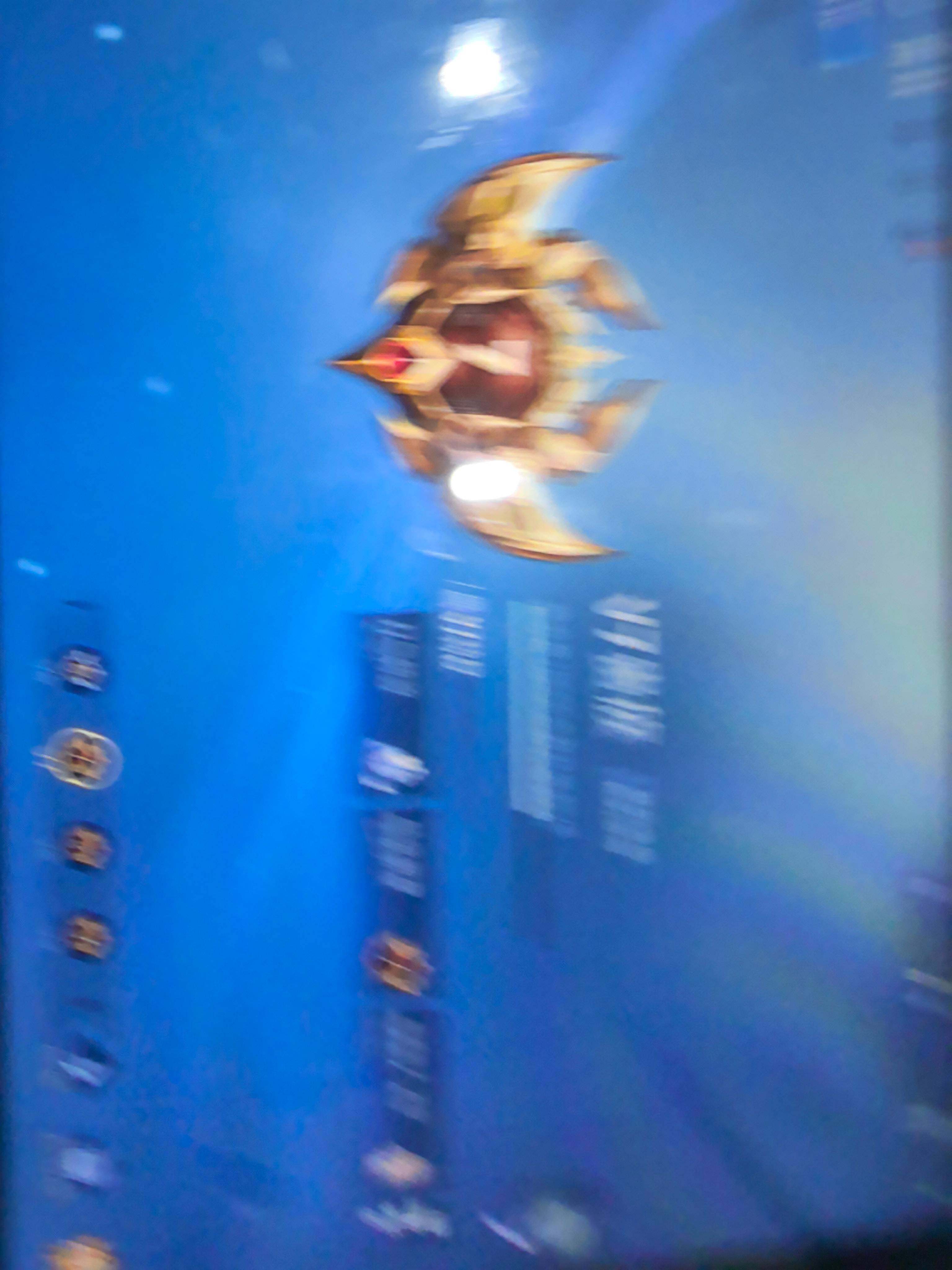 WZKG491524王者荣耀账号详情图13