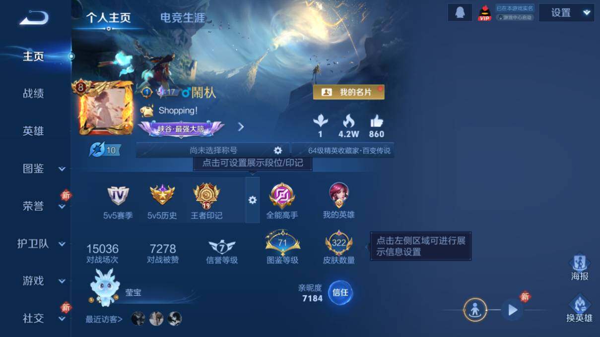 WZLX463894王者荣耀账号详情图8