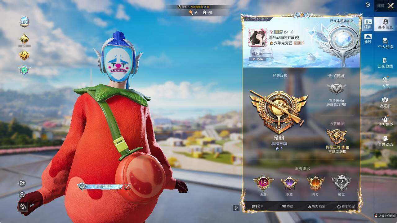 HPLX465722和平精英账号详情图8