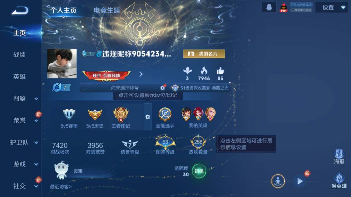 WZCMW464170王者荣耀账号详情图7