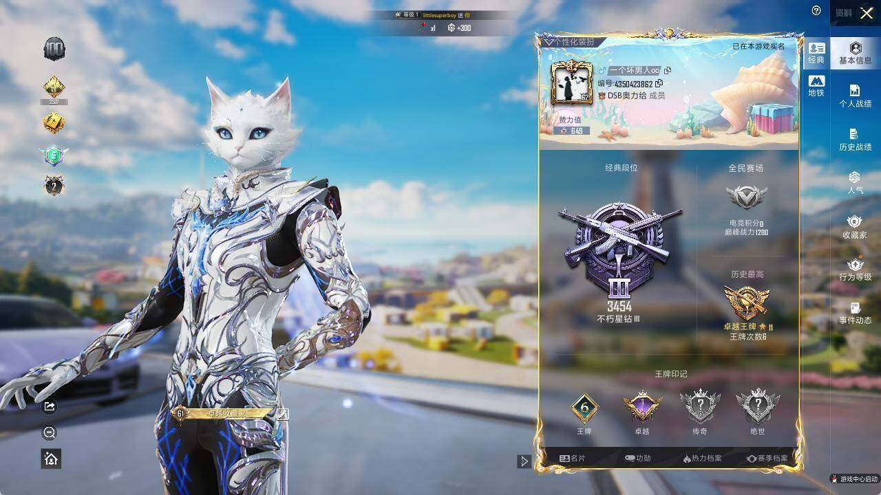 HPCMW466369和平精英账号详情图6