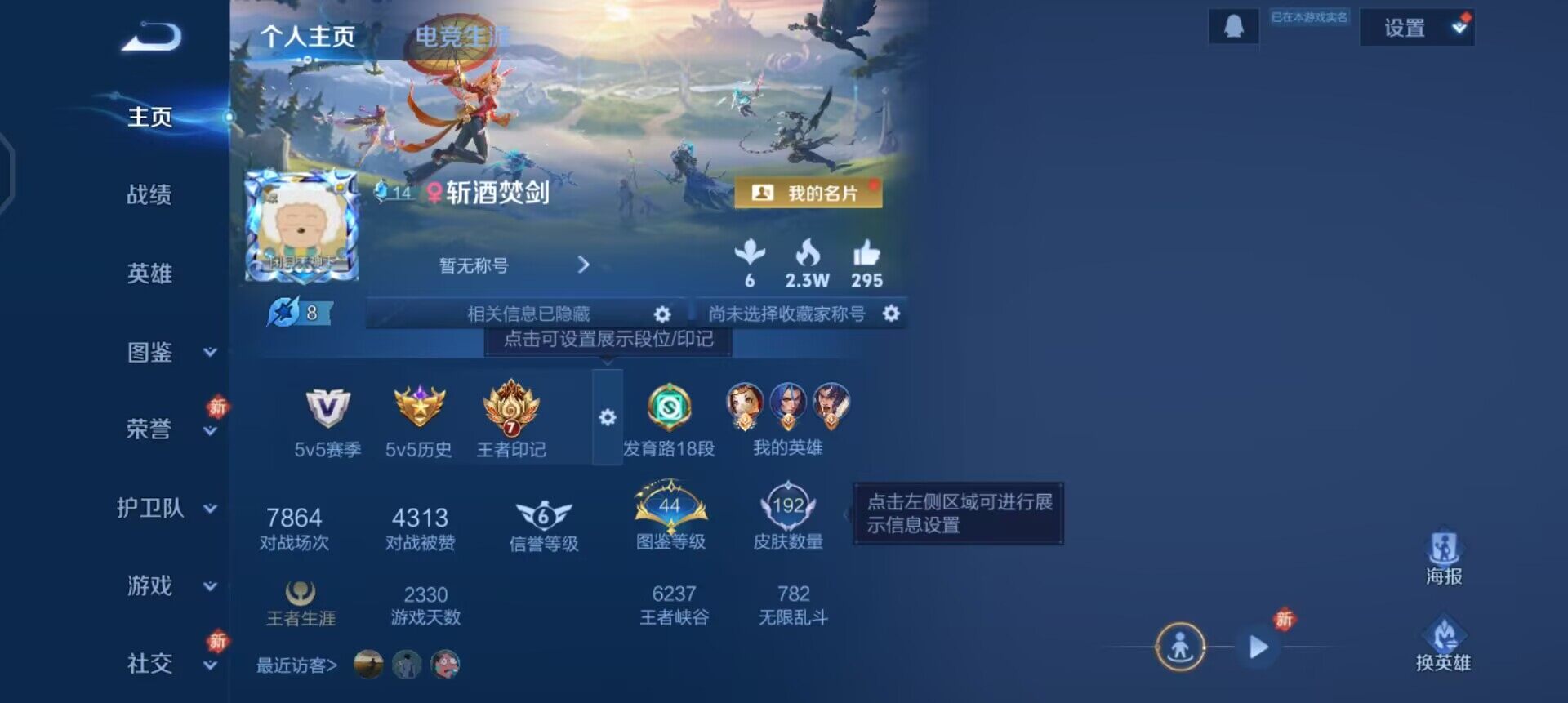 WZQM455989王者荣耀账号详情图3