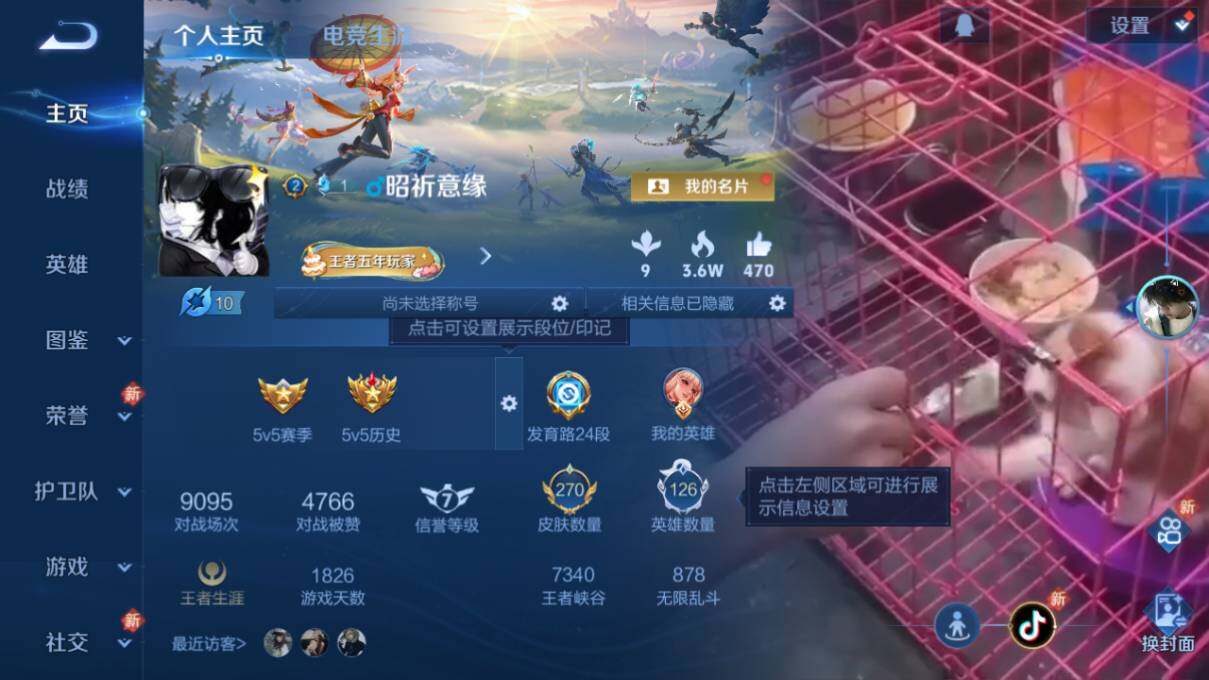 WZLX463108王者荣耀账号详情图6