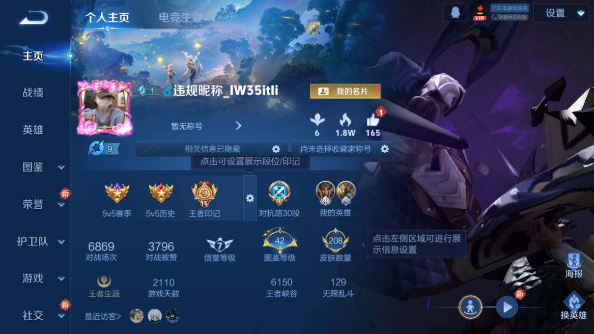 WZLX473015王者荣耀账号详情图6