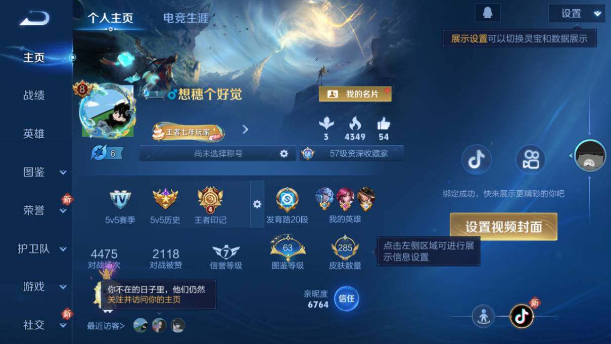 WZLX463723王者荣耀账号详情图6