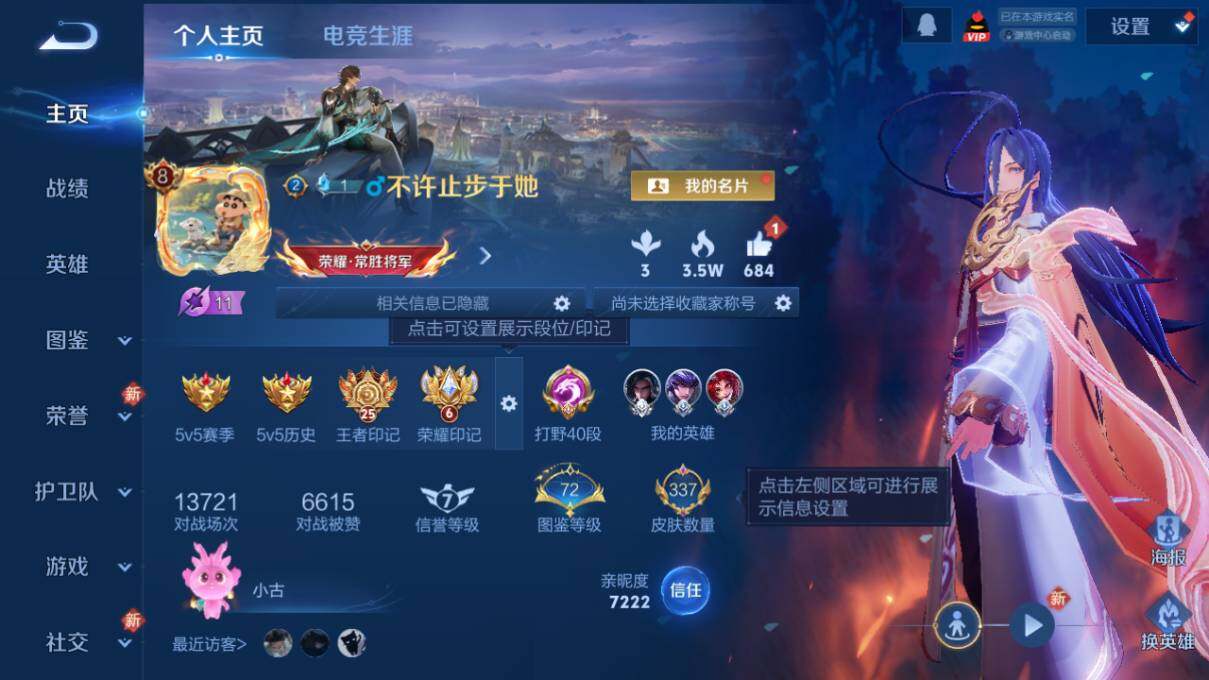 WZCMW463904王者荣耀账号详情图8