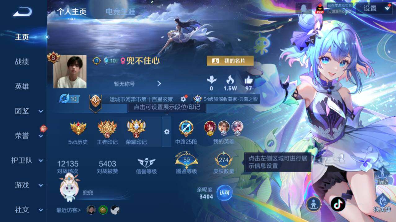 WZ03455070王者荣耀账号详情图4