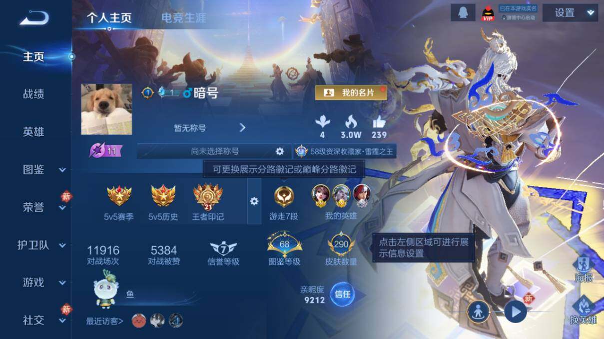 WZLX463443王者荣耀账号详情图7