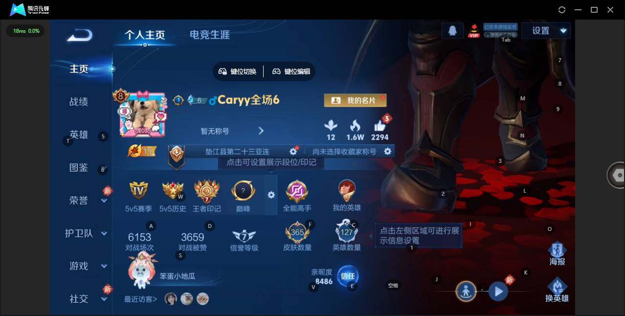 WZQM456051王者荣耀账号详情图3