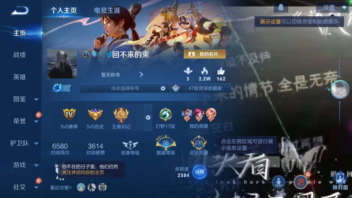 WZLX463461王者荣耀账号详情图6