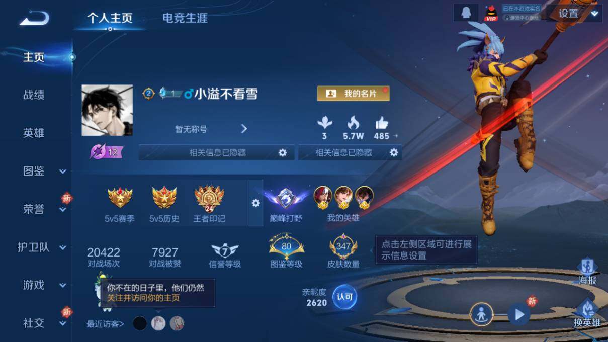 WZLX463960王者荣耀账号详情图8