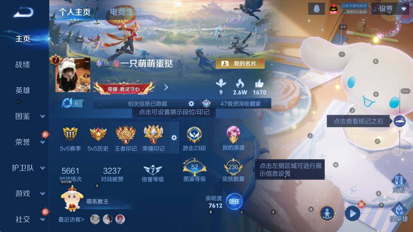 WZCMW453336王者荣耀账号详情图8