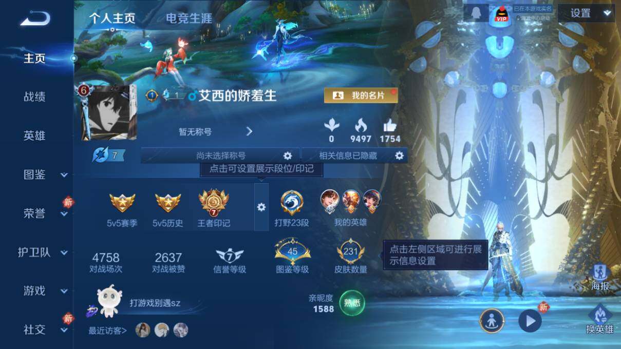 WZCMW463003王者荣耀账号详情图6