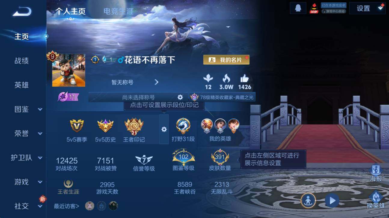 WZCMW453450王者荣耀账号详情图11