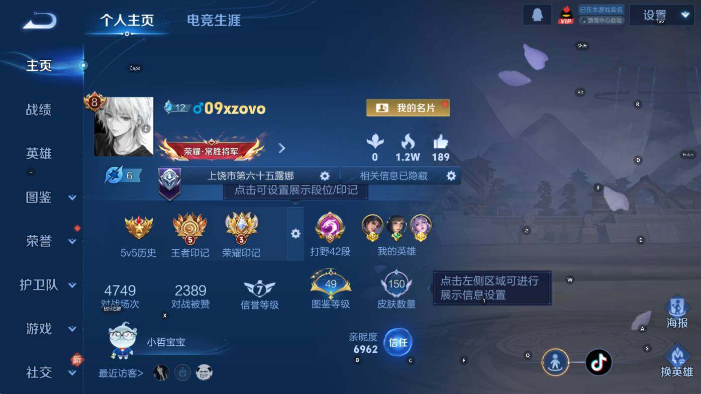 WZCMW453490王者荣耀账号详情图8