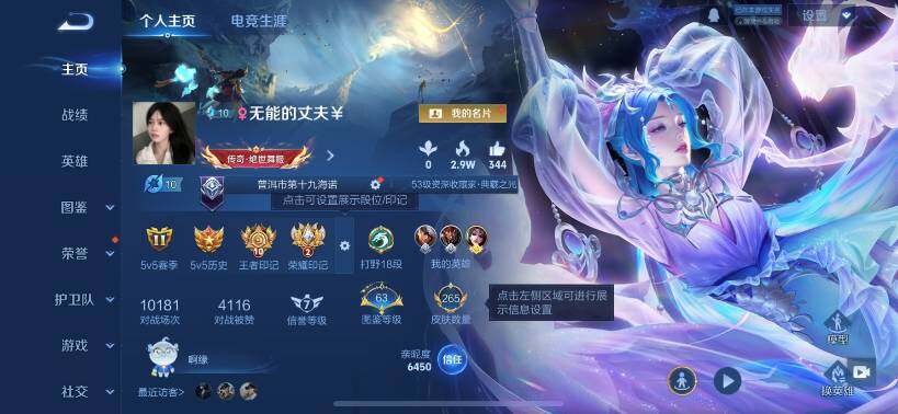 WZCMW459511王者荣耀账号详情图12