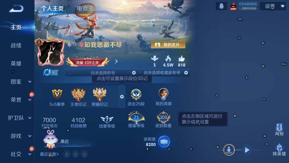 WZCMW453677王者荣耀账号详情图8