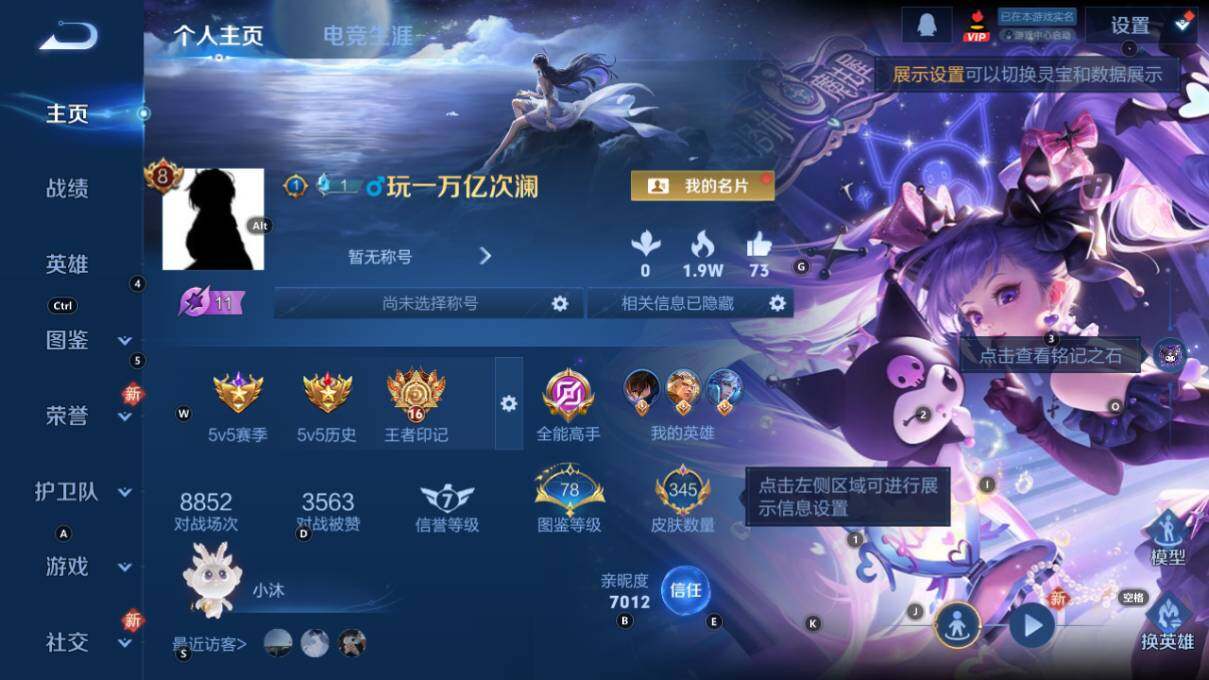 WZLX464093王者荣耀账号详情图9