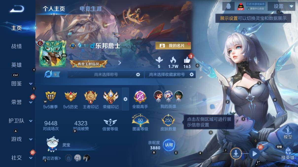 WZLX463046王者荣耀账号详情图7