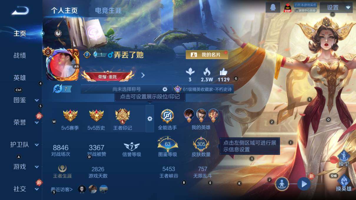 WZLX463585王者荣耀账号详情图8