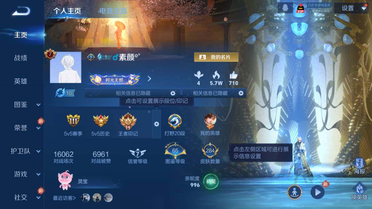 WZLX463419王者荣耀账号详情图7