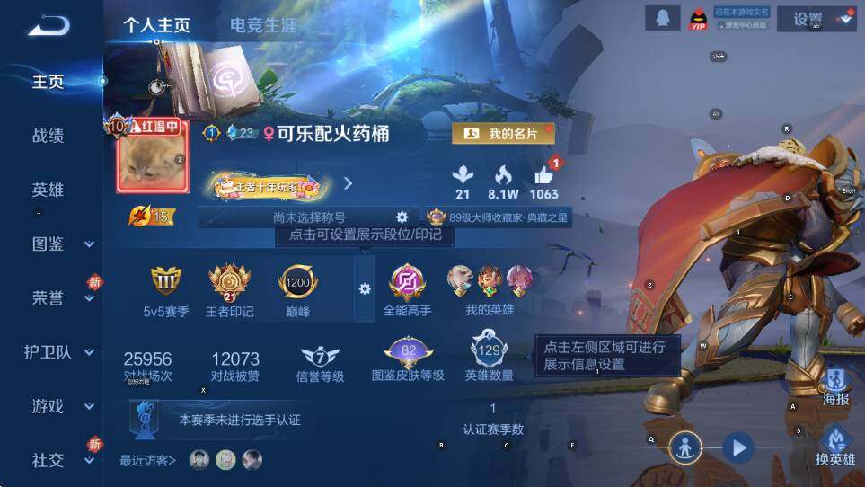 WZCMW455024王者荣耀账号详情图10