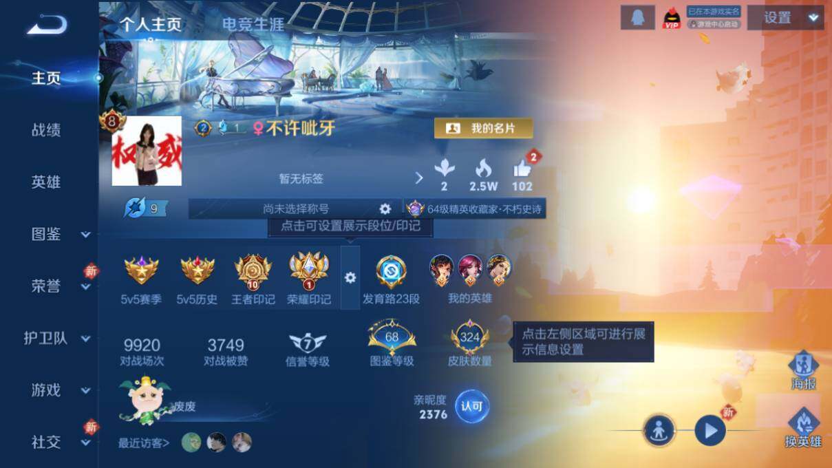 WZLX463635王者荣耀账号详情图7