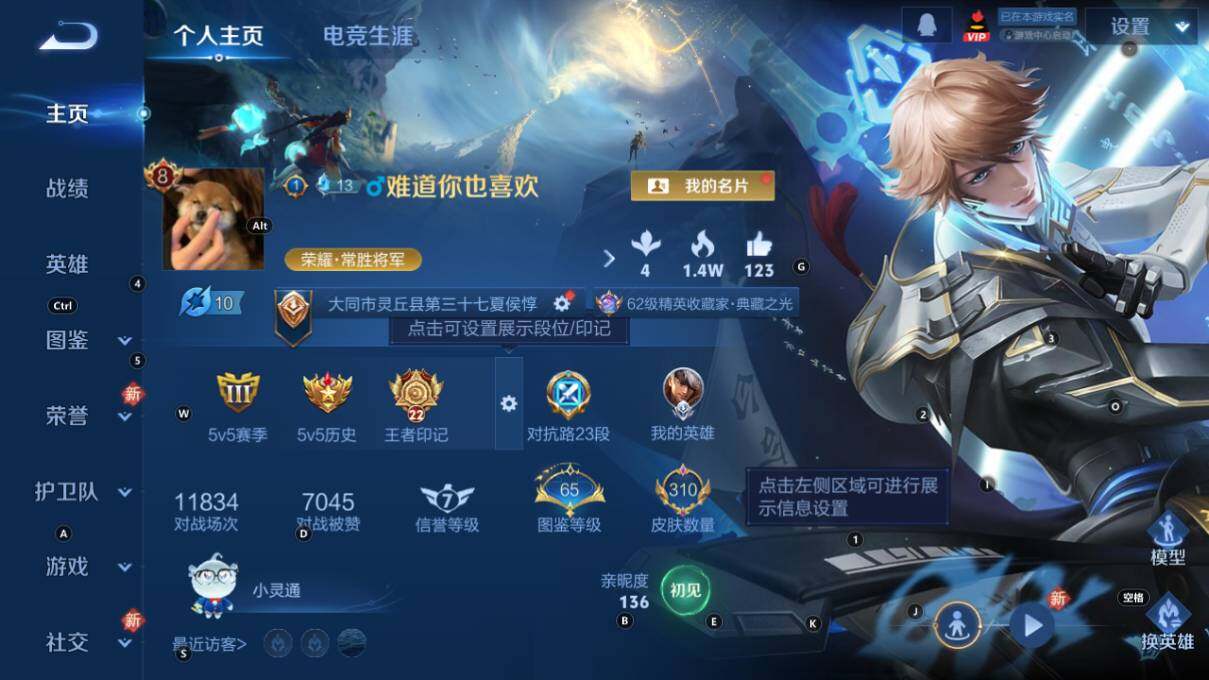 WZLX463708王者荣耀账号详情图8