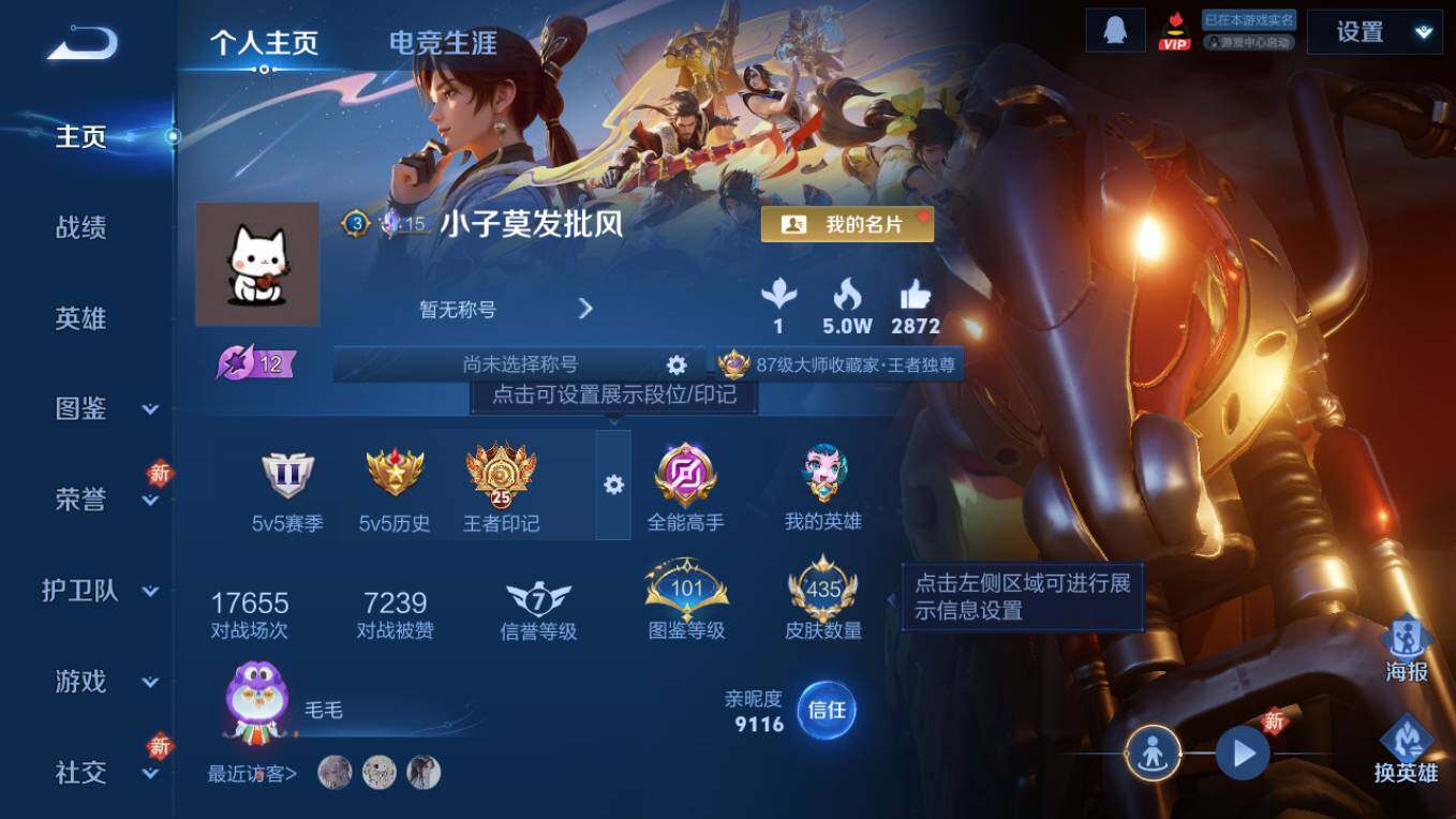 WZCMW496099王者荣耀账号详情图10