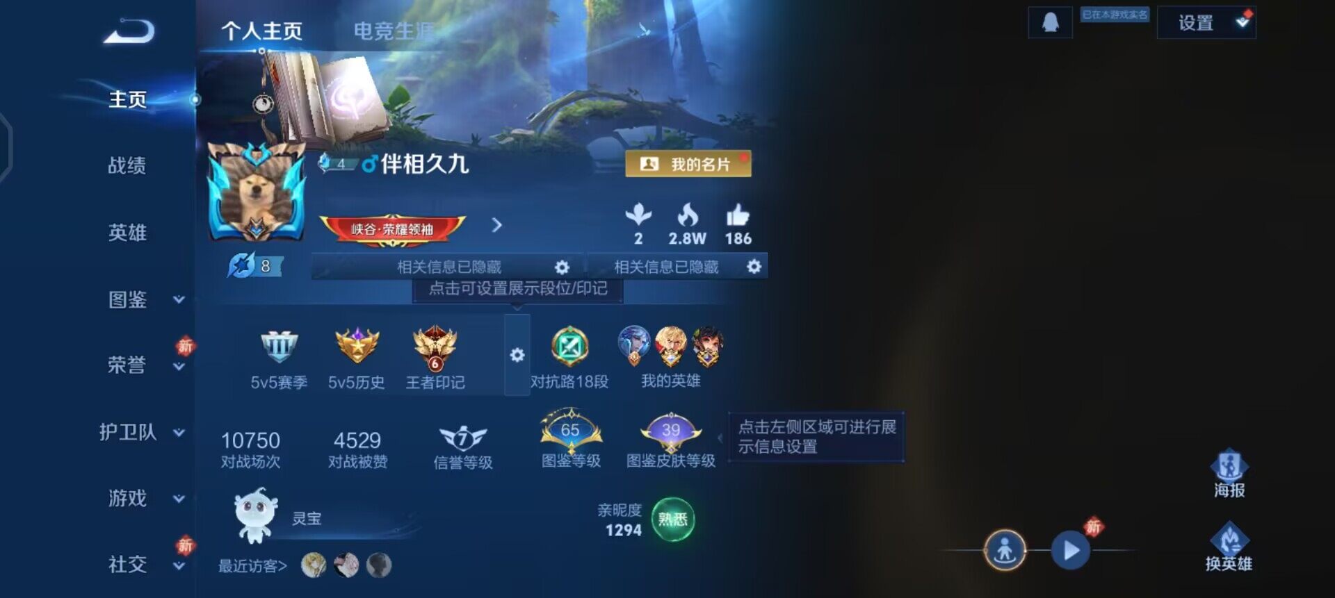 WZQM496195王者荣耀账号详情图3 WZQM496195王者荣耀账号详情图3