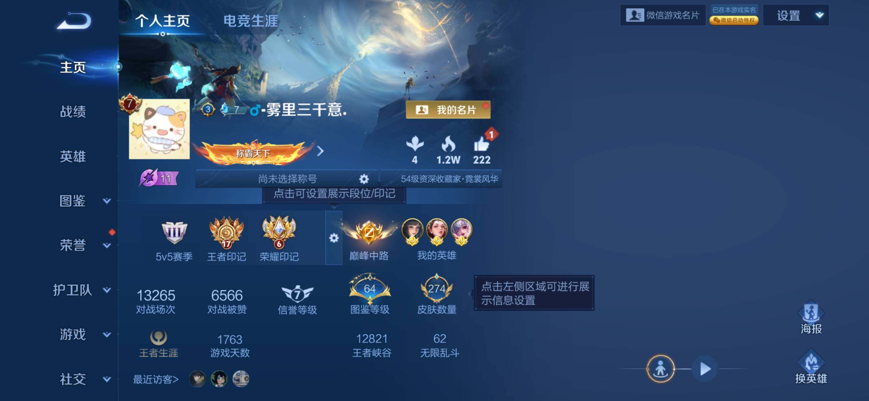 WZKG455329王者荣耀账号详情图26