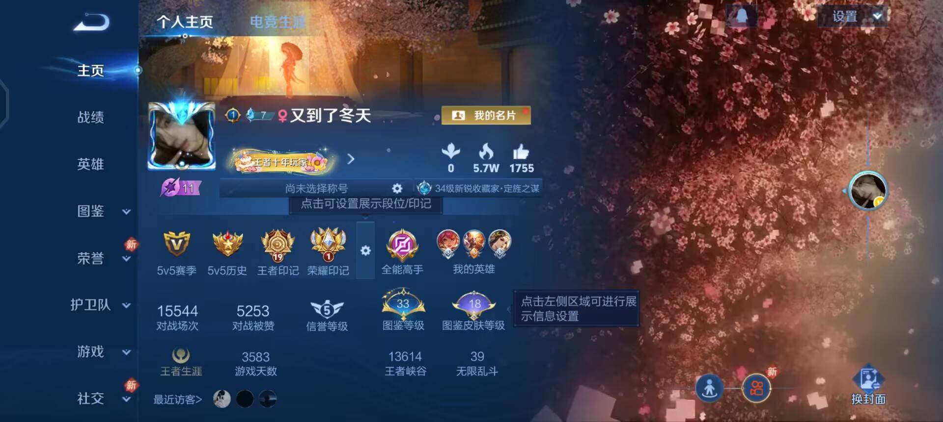 WZQM461530王者荣耀账号详情图3