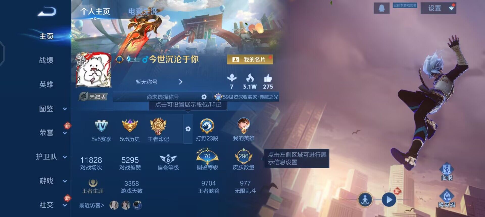 WZQM461531王者荣耀账号详情图3