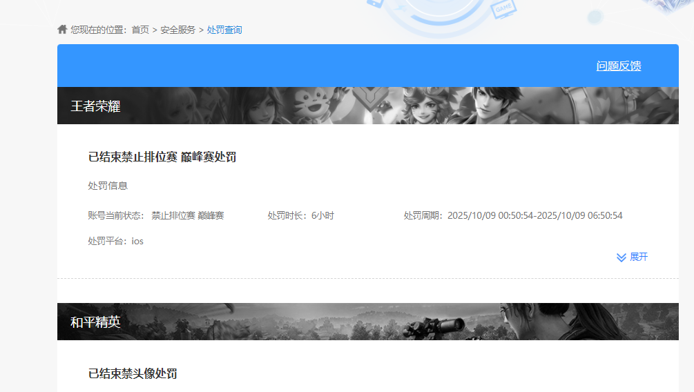 WZKG455495王者荣耀账号详情图8