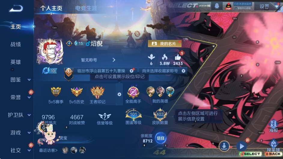 WZCMW462593王者荣耀账号详情图8