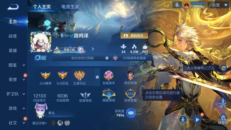 WZ03462238王者荣耀账号详情图8