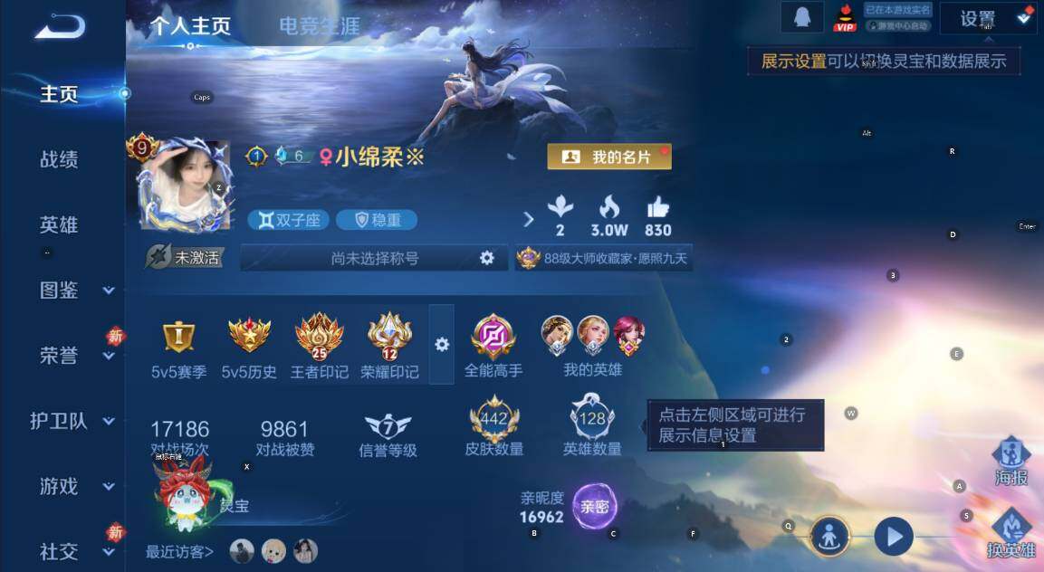 WZCMW456613王者荣耀账号详情图14