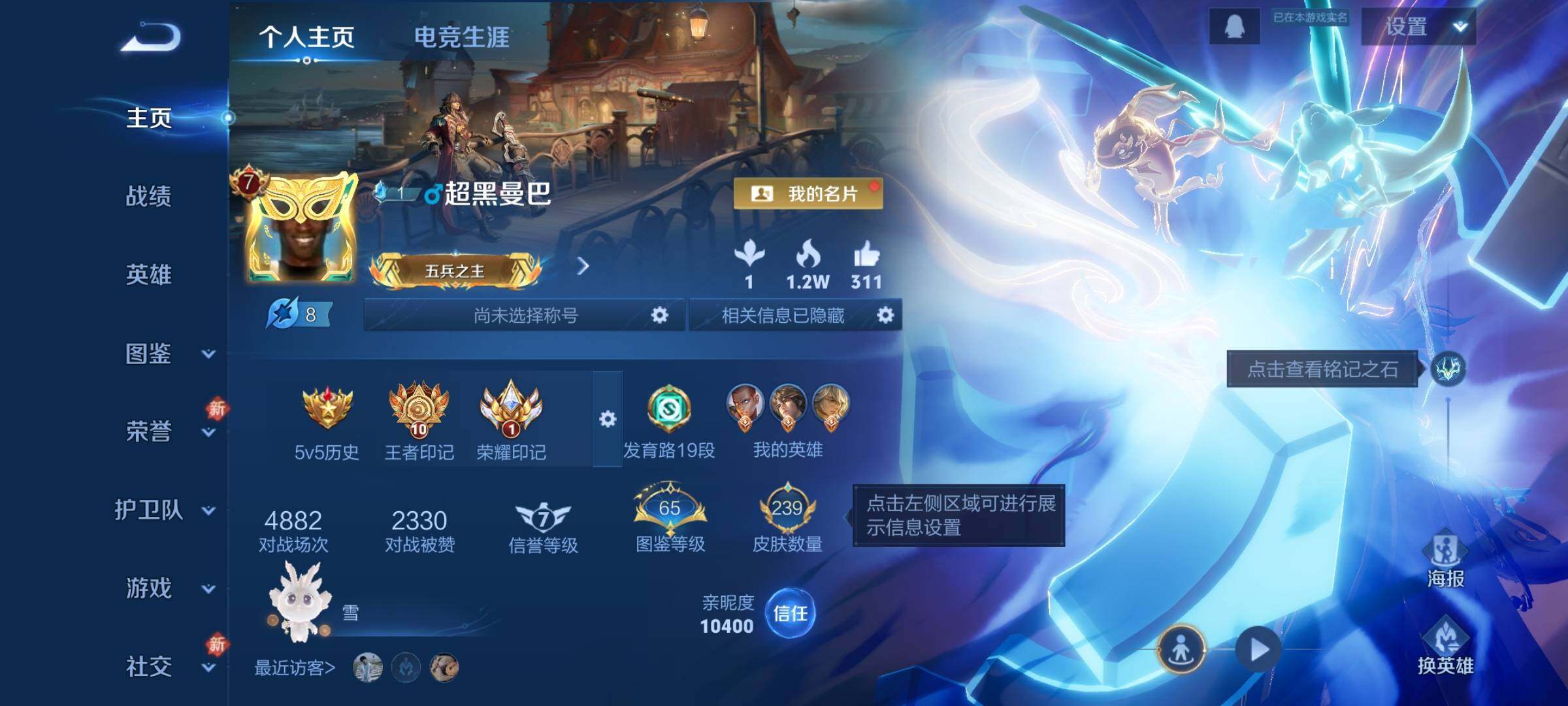 WZKG456919王者荣耀账号详情图9