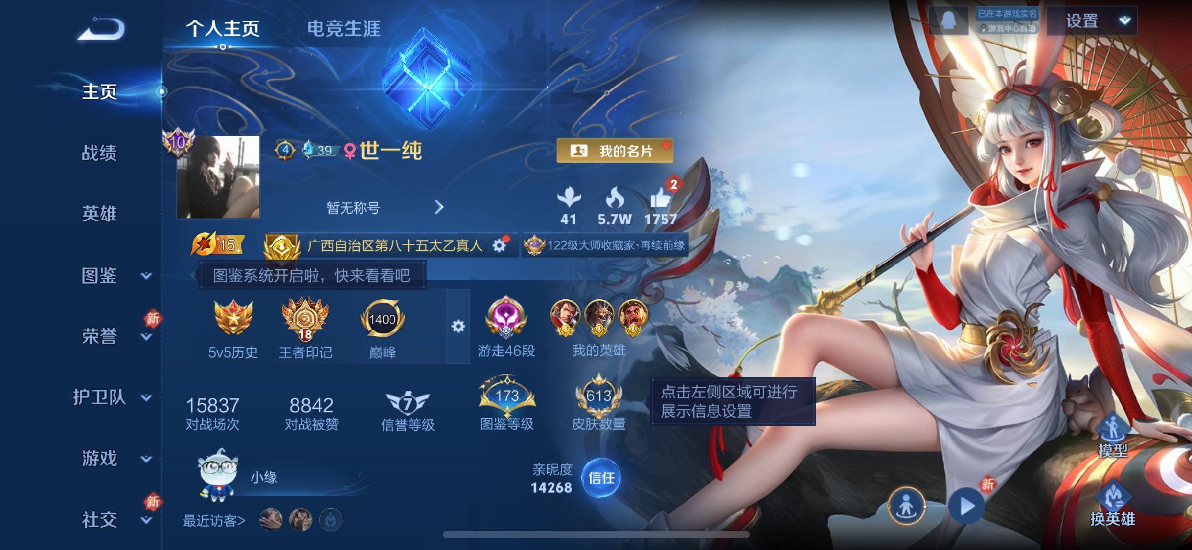 WZCMW460452王者荣耀账号详情图2 WZCMW460452王者荣耀账号详情图2