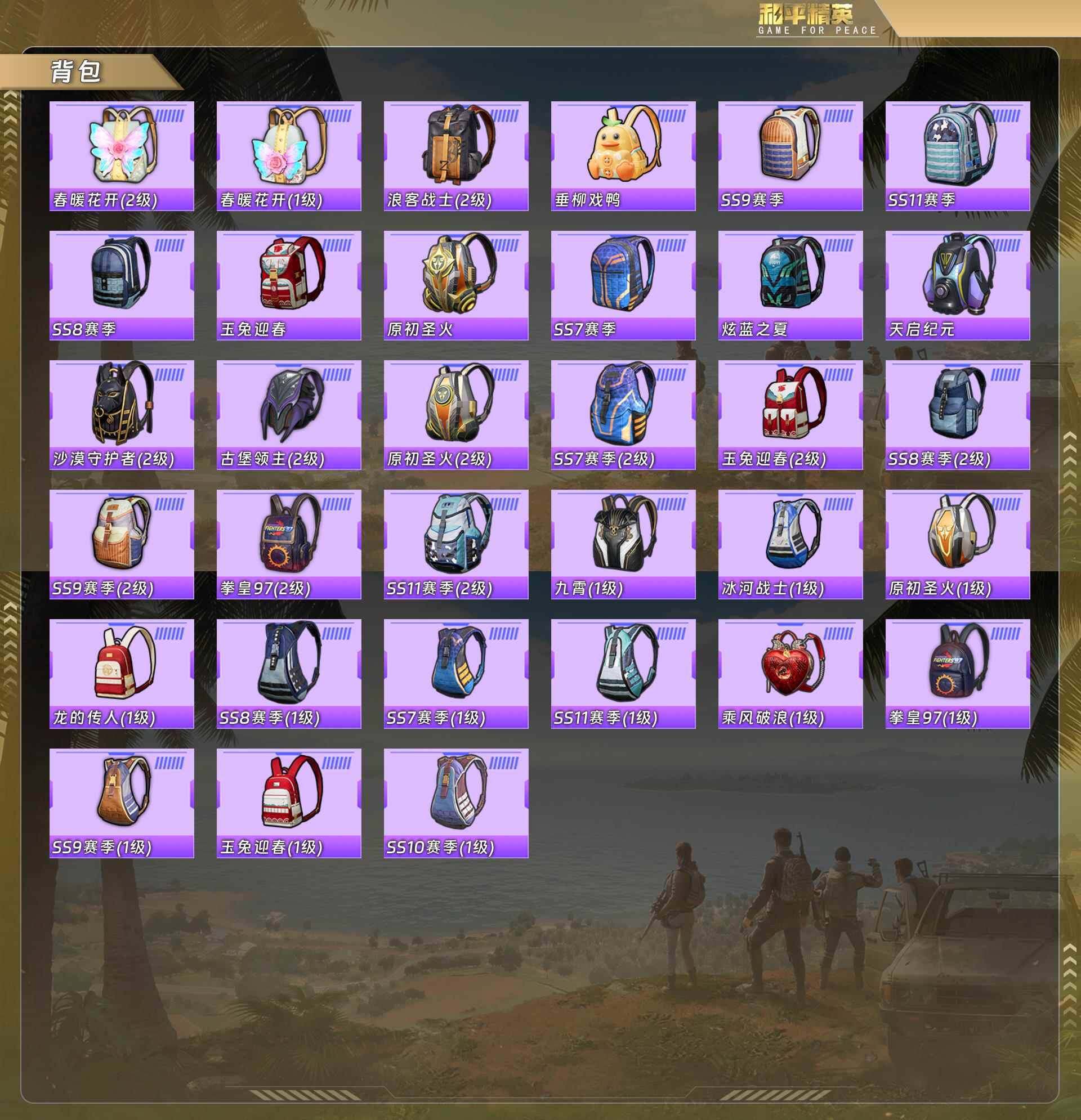 HPQM478365和平精英账号详情图10