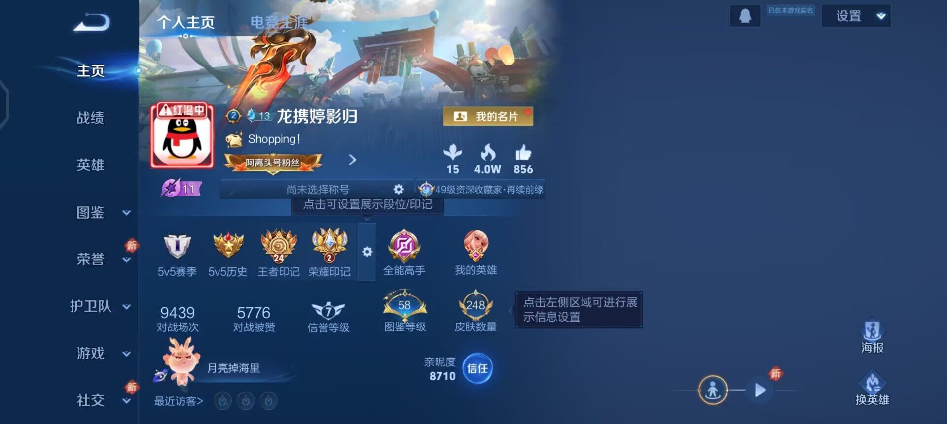 WZQM496281王者荣耀账号详情图3