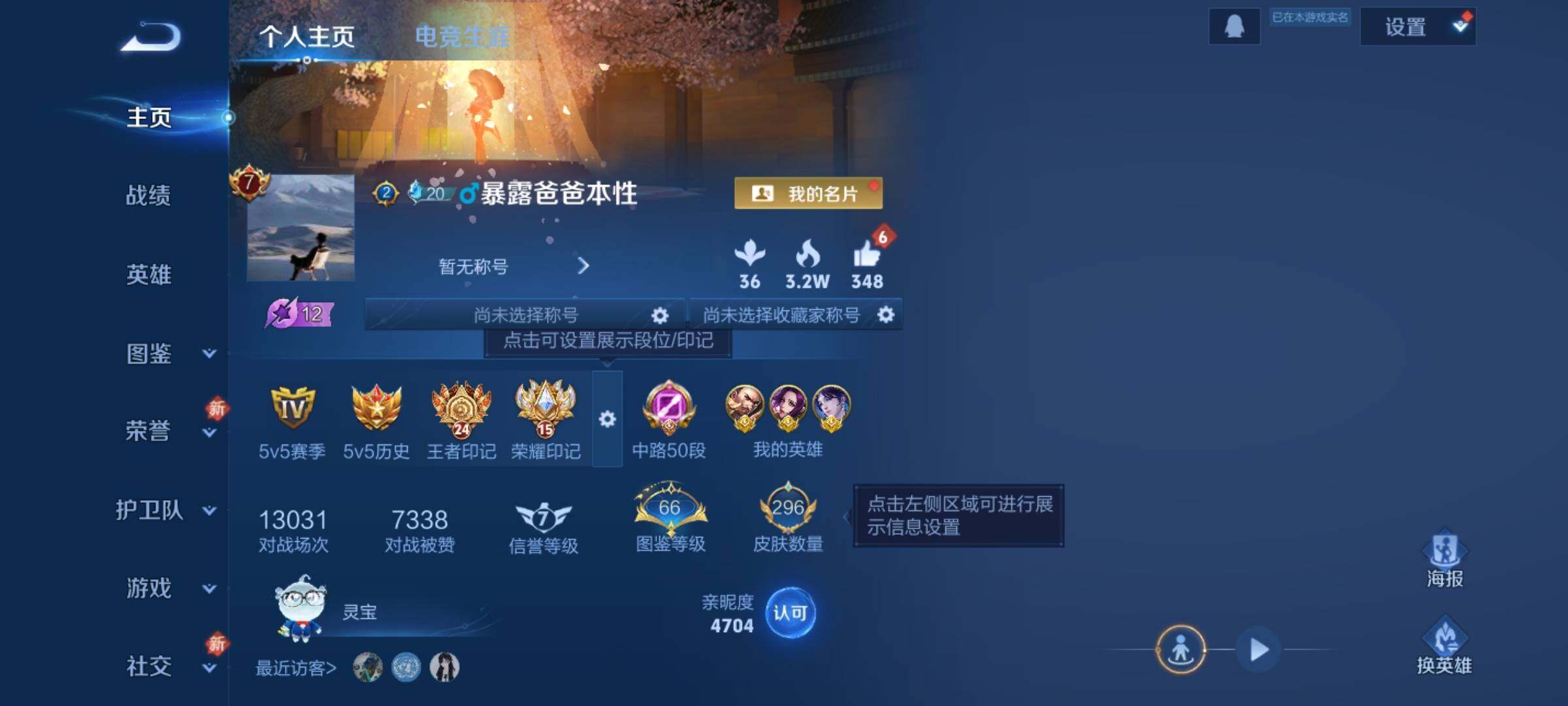 WZKG460180王者荣耀账号详情图14