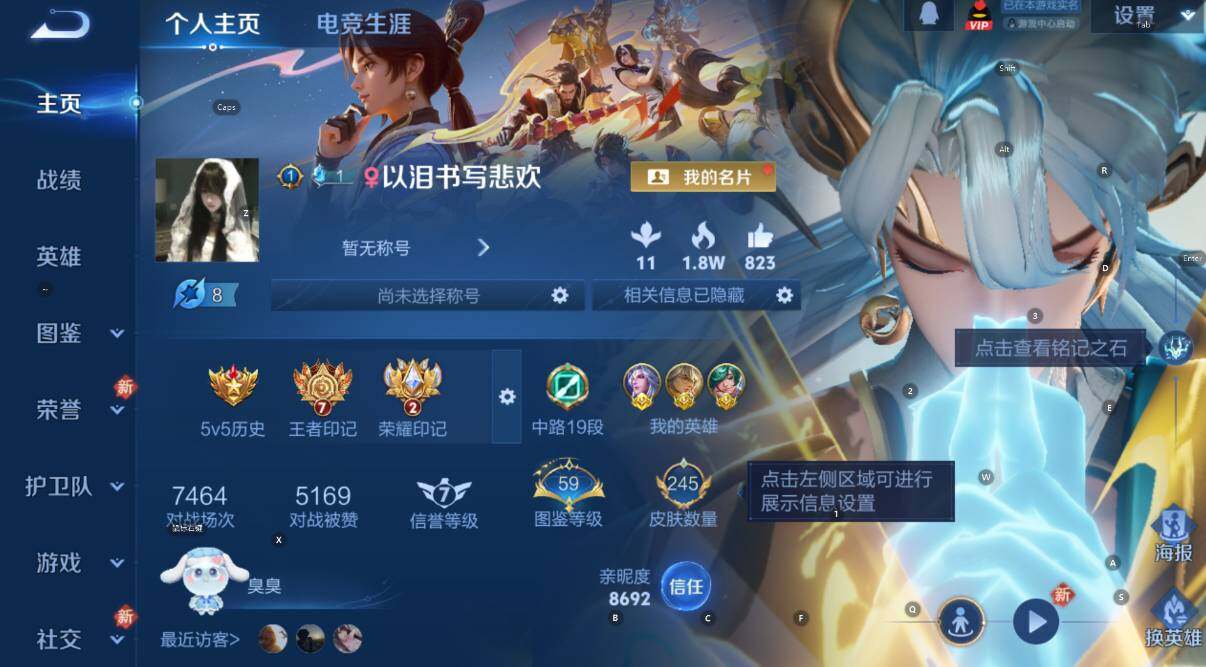 WZCMW460622王者荣耀账号详情图8