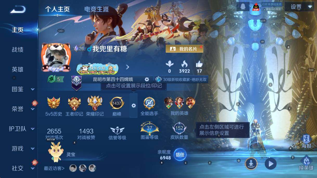 WZCMW460634王者荣耀账号详情图10