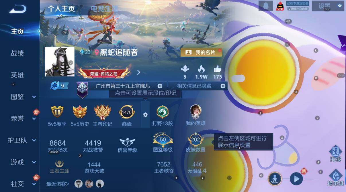 WZCMW461137王者荣耀账号详情图7