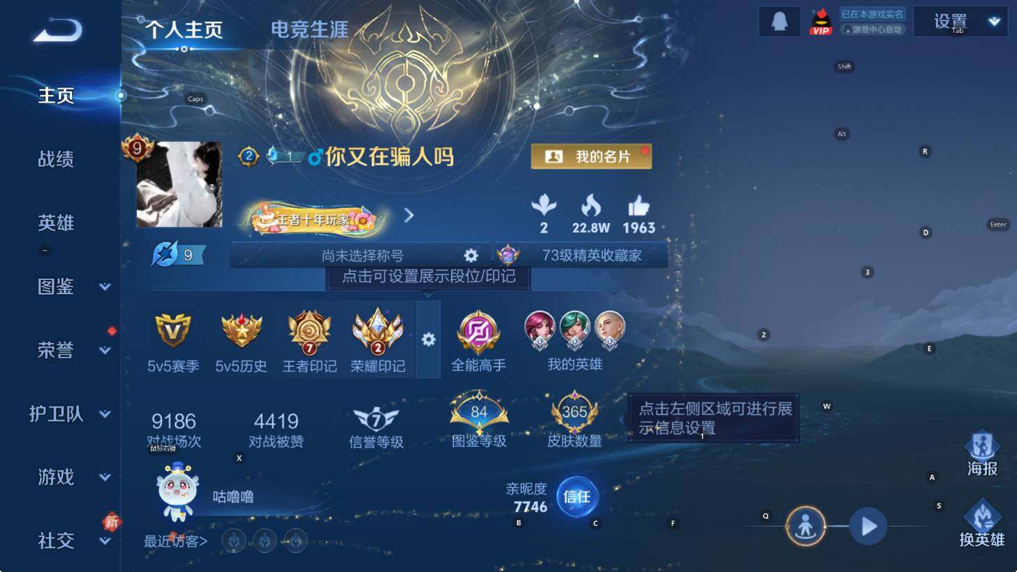 WZCMW461209王者荣耀账号详情图11