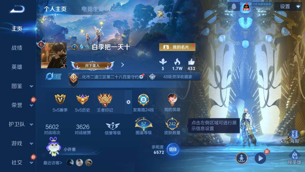 WZ03465806王者荣耀账号详情图3