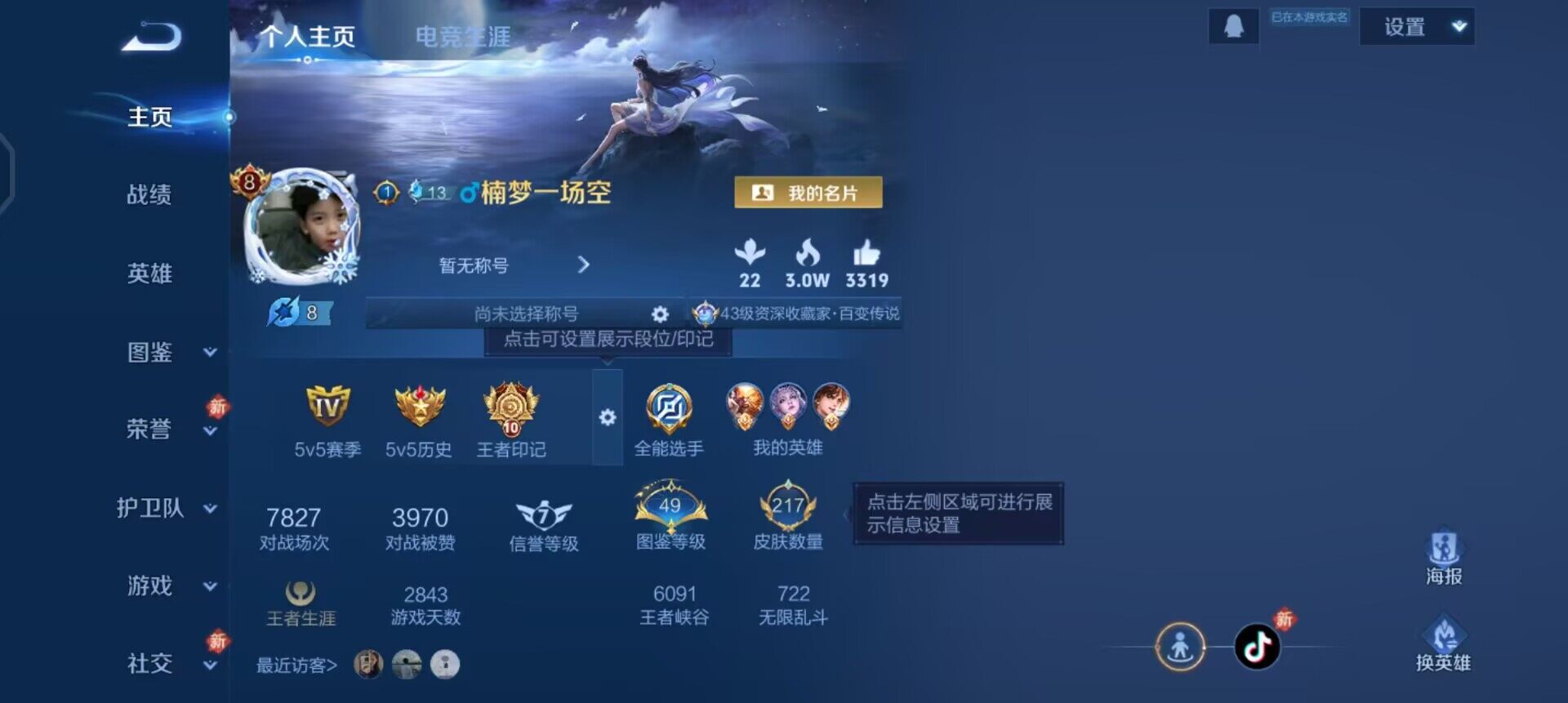 WZQM496376王者荣耀账号详情图3