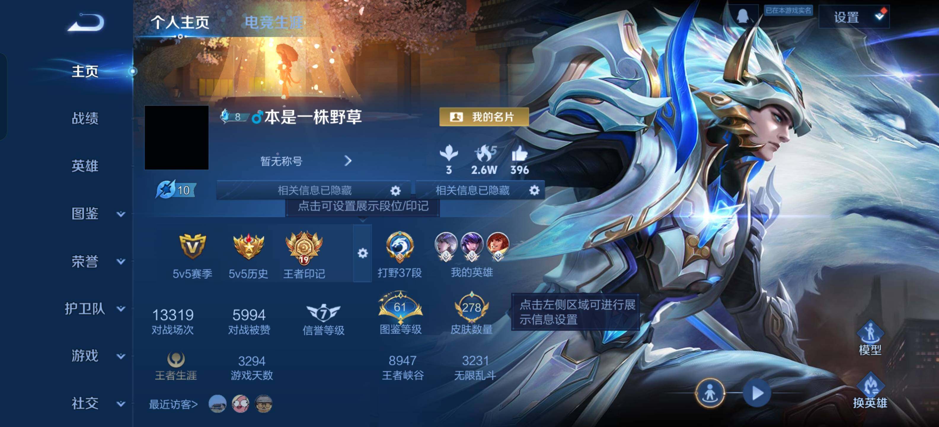 WZKG491527王者荣耀账号详情图12