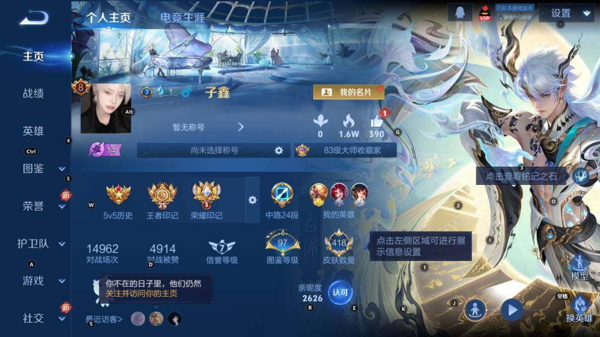 WZLX464276王者荣耀账号详情图10